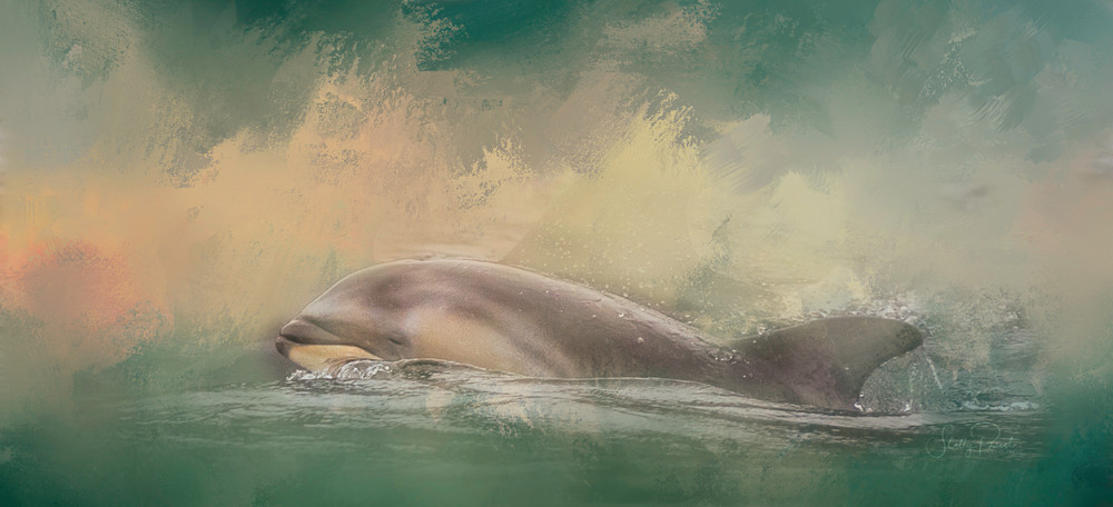 Pacific White Sided Dolphin Photography Art | Shelly Priest Photography