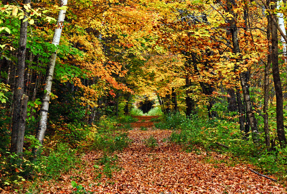 Ghost Tracks  Photography Art | Roger Merchant, Place-based Photographer