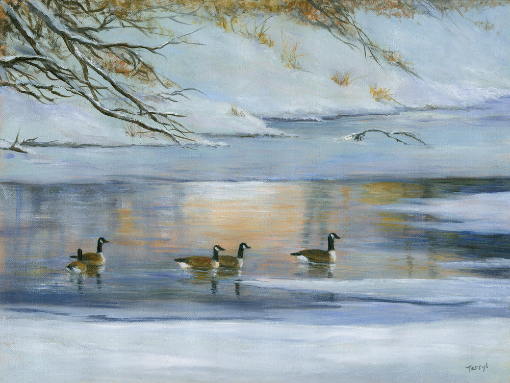 After The Snowfall  Geese On The River Art | Tarryl Fine Art