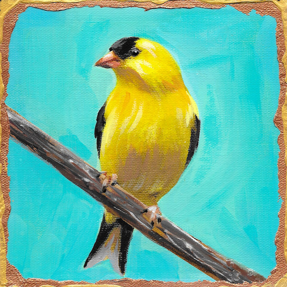 American Goldfinch Art | Channe Felton Fine Art