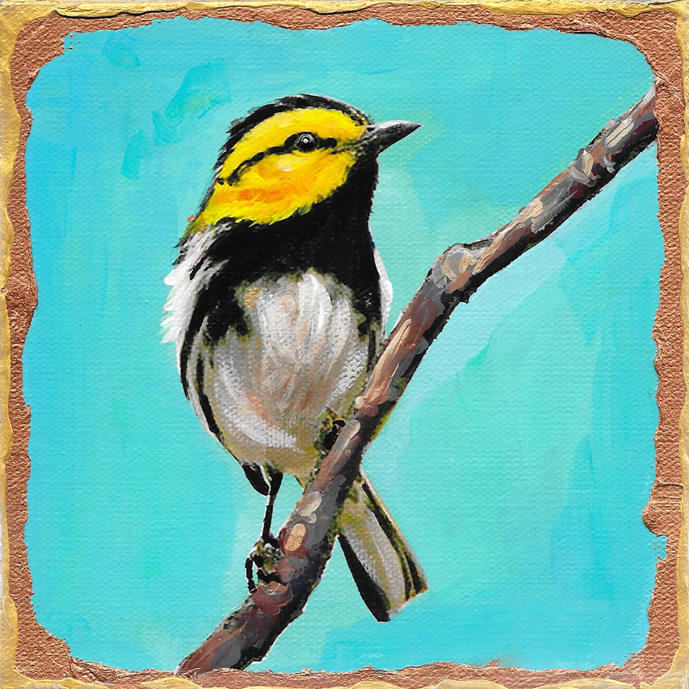 Golden Cheeked Warbler Art | Channe Felton Fine Art