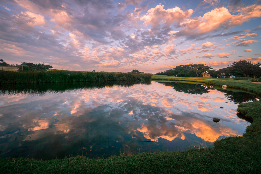Crespi Pond Reflections Photography Art | Brad Wright Photography