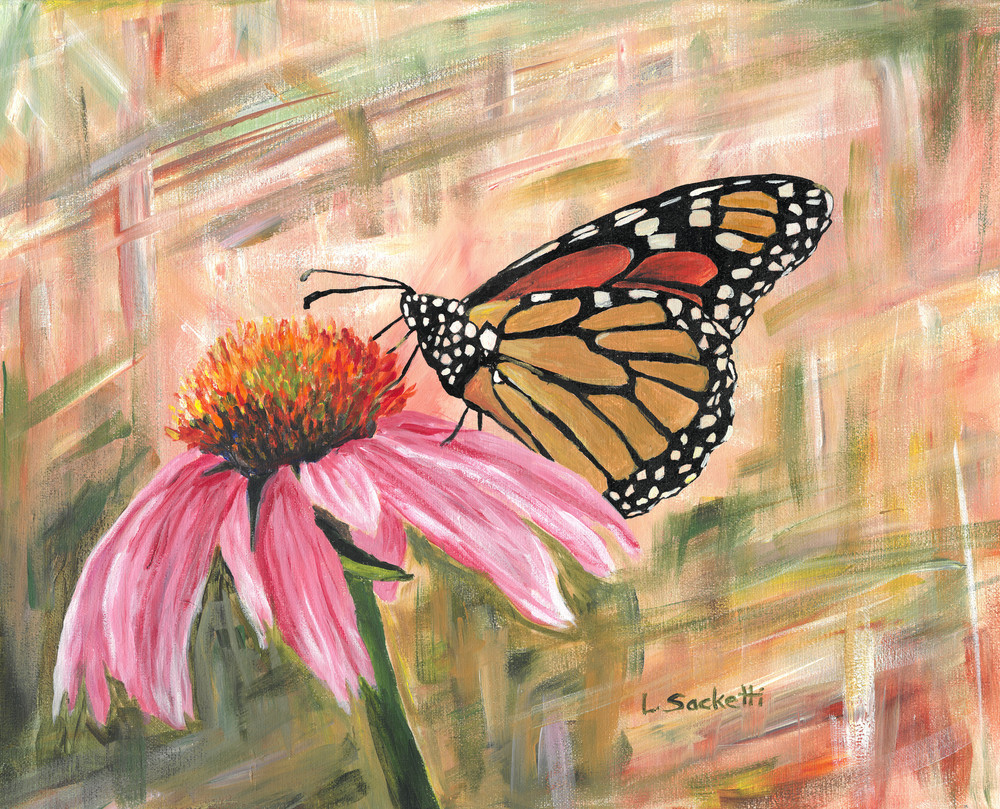 Monarch on a Cone Flower fine art prints and merchandise | Linda Sacketti