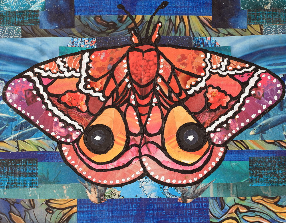 Io Moth Art | angelakriel