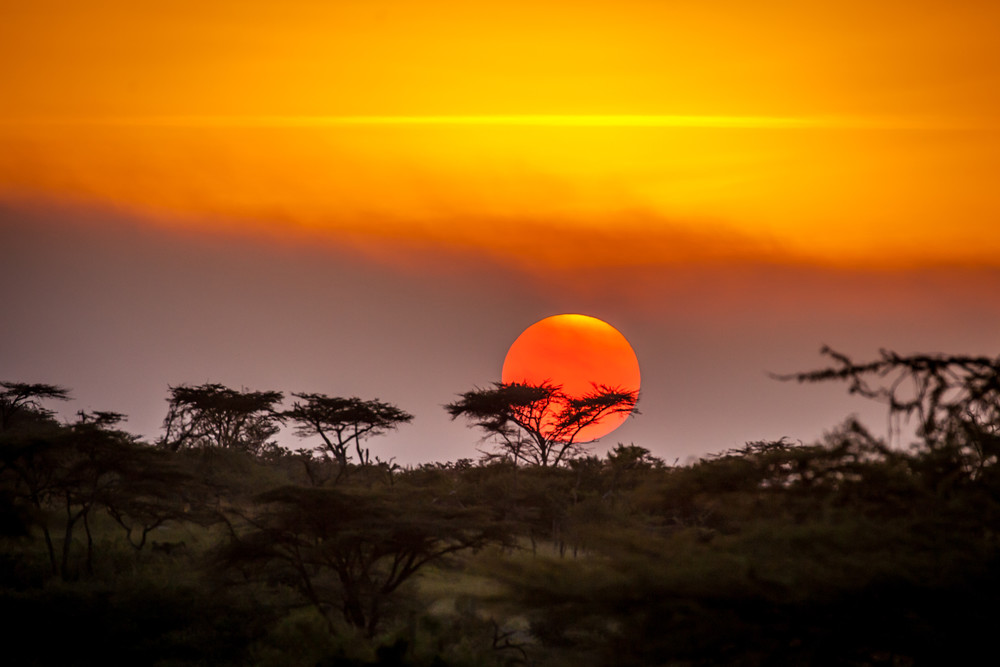 Sunset Over The Masai Mara Photography Art | Teri K. Miller Photography