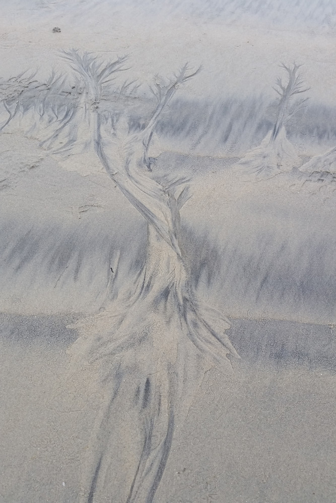 Sand Creatures create Abstract Lines | Art in the Sand