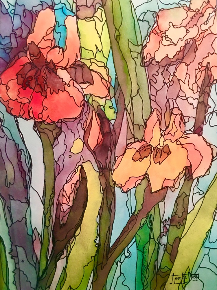 Peach Irises  Art | vibrant art studio, Art by Annette Dion McGowan
