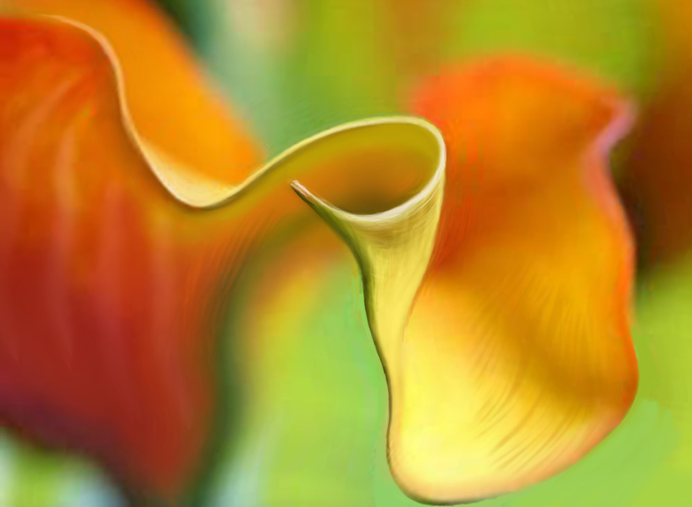 Sublime Curves Art | stevied
