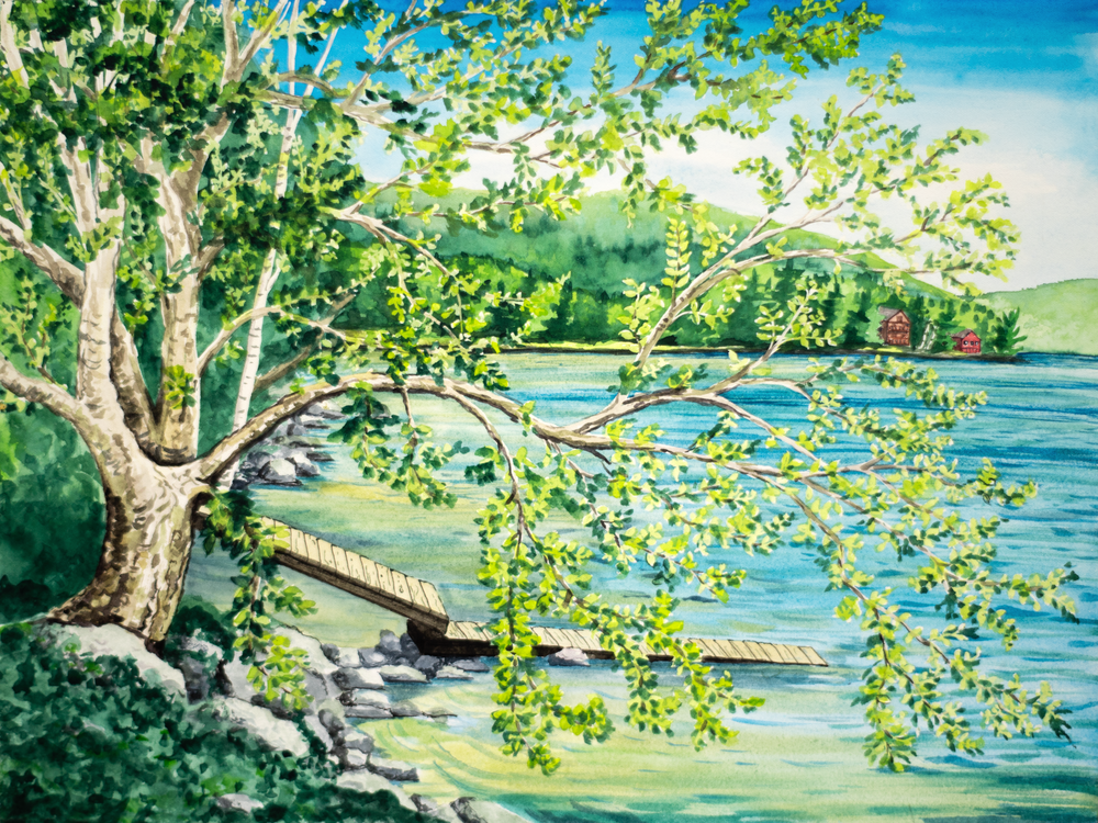 'Yellow Birch' - Maine Art for Sale