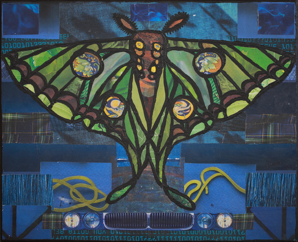 Luna Moth Art | angelakriel