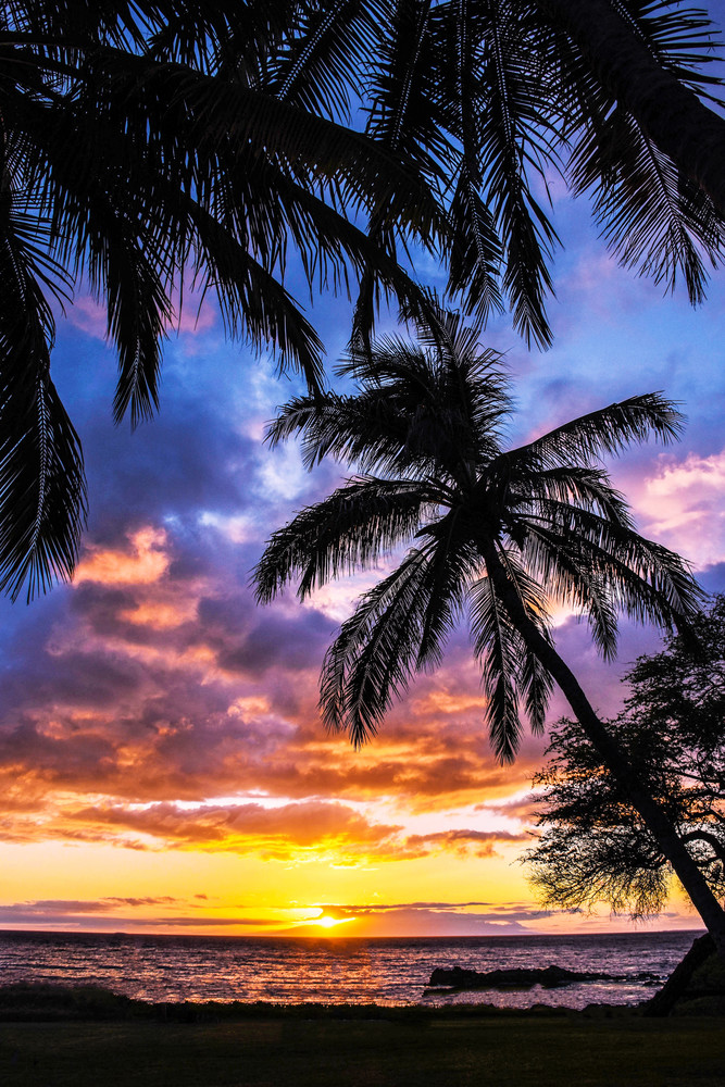 115   Kam Iii Sunset By Gilney Lima Art | Maui Fine Art
