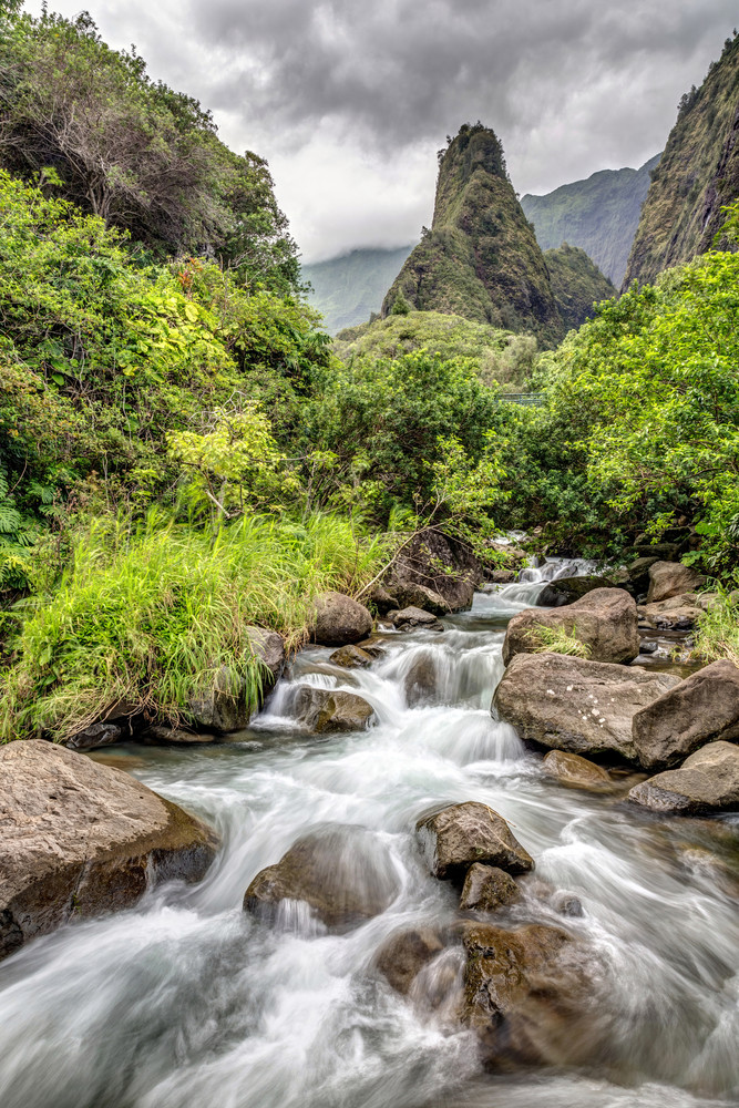 228   Iao Vallery River By Pierre Leclerc Art | Maui Fine Art