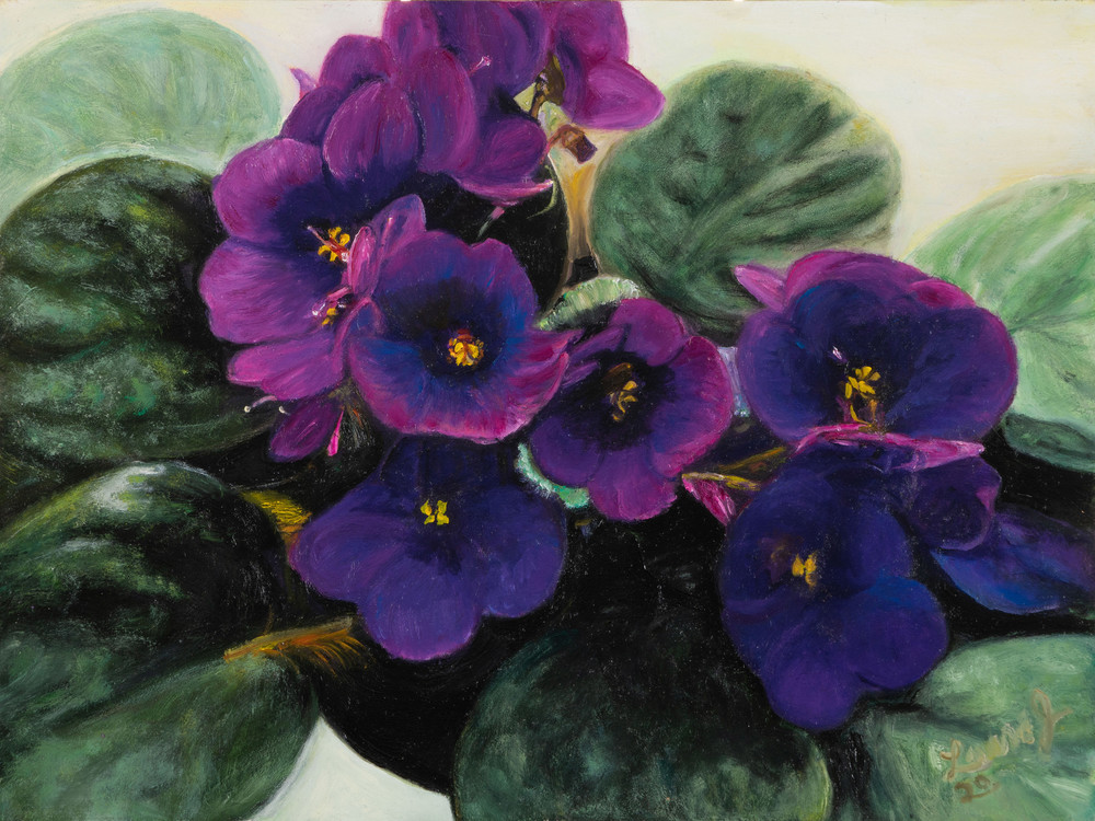 Realistic African Violets 
