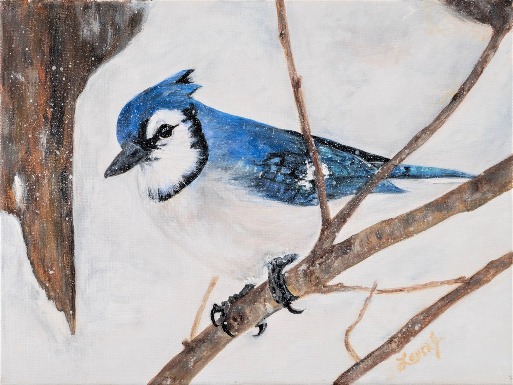 Lifelike Realistic Blue Jay in Snow From the Acrylic Painting Original