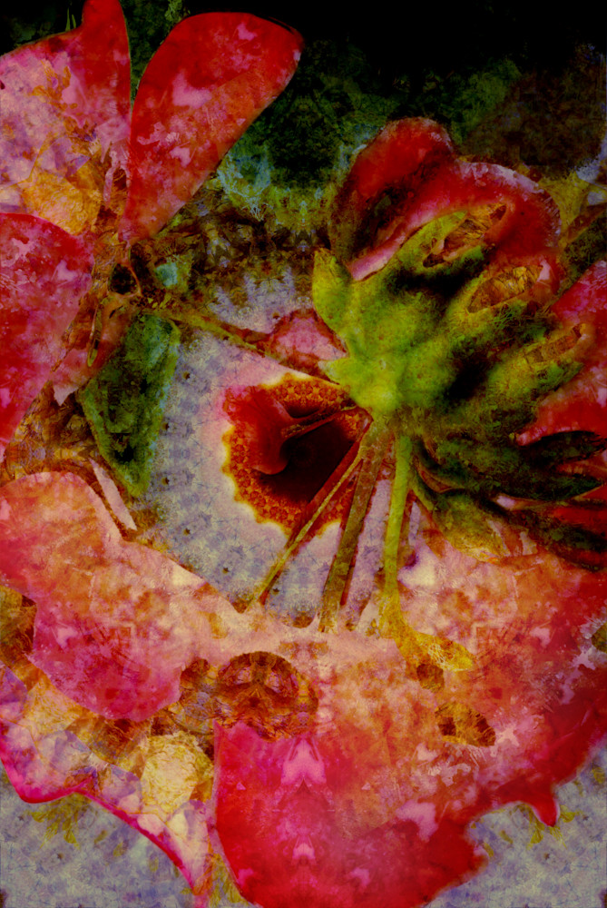 Broken Symmetries No. 26 Art | Michael Lujan