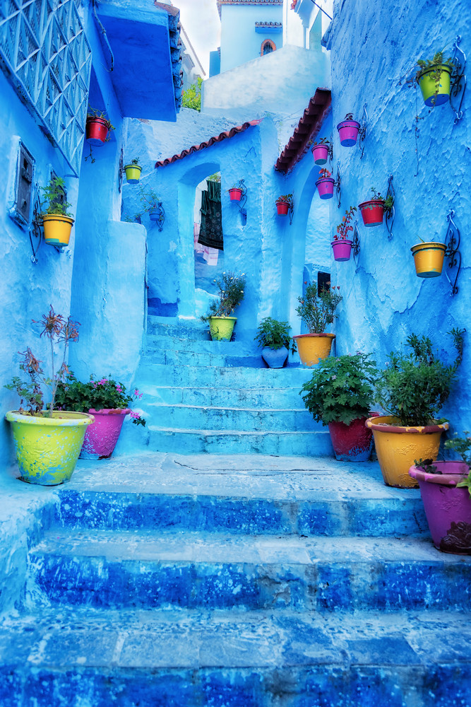 Blue Steps Vert Photography Art | nancyney