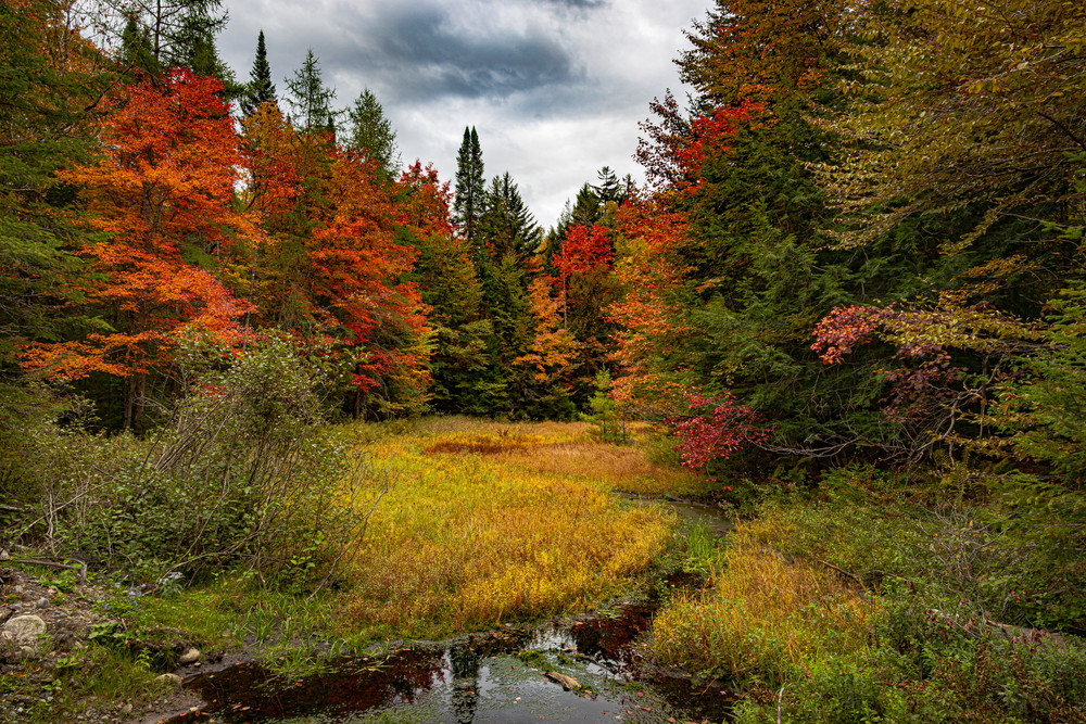 Adirondack Colors  Photography Art | Nelson Rudiak Photography 
