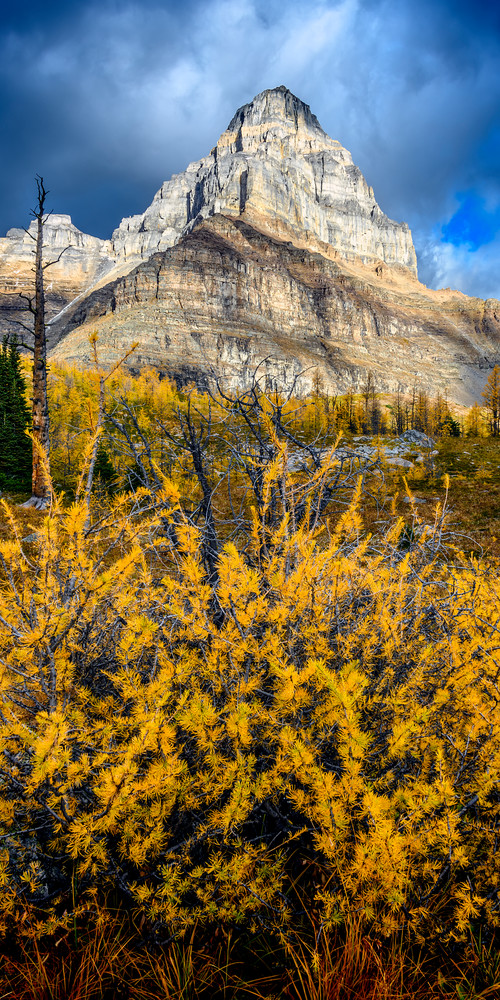 The Giant's Doorstep   Larch Valley, Alberta Photography Art | Byron Fichter Fotography