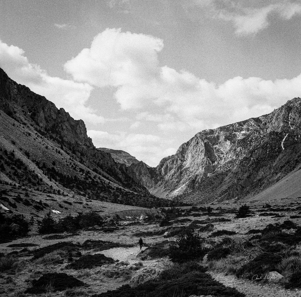 Canyon Walk