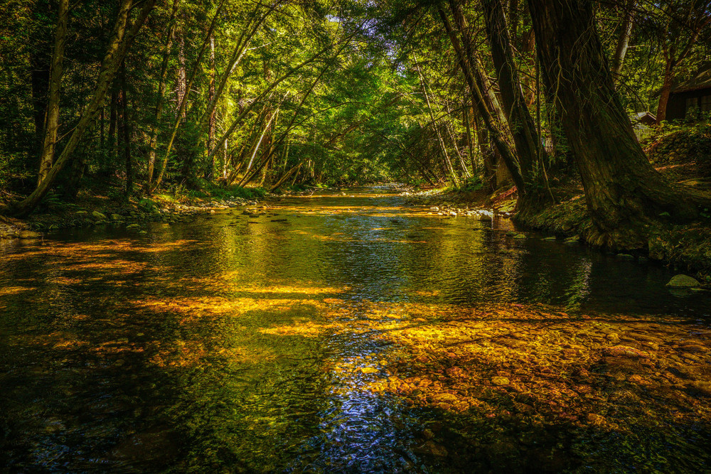 Peaceful Big Sur River @ Pfeiffer State Park Photography Art | Brad Wright Photography