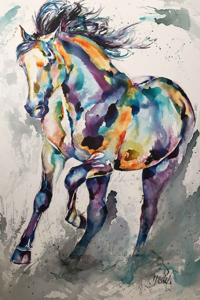 Andalusian Horse  Art | Christy! Studios