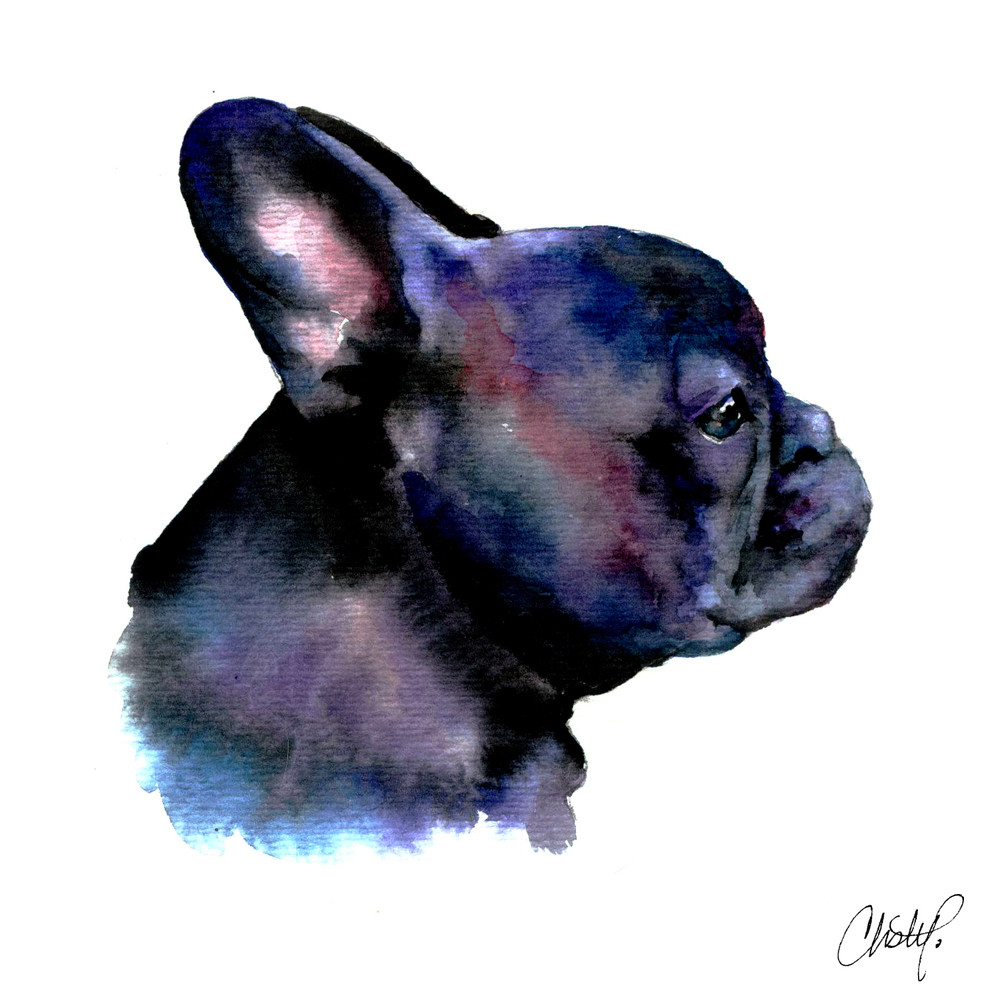Black French Bulldog Art | Christy! Studios