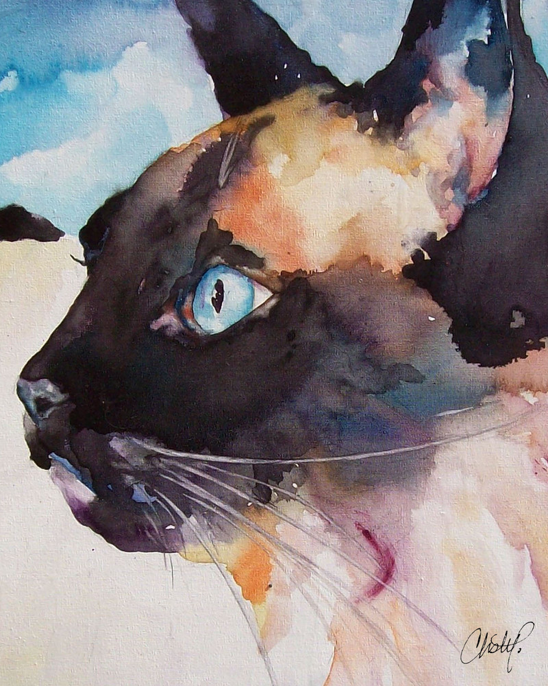Seal Point Siamese Cat Art | Christy! Studios