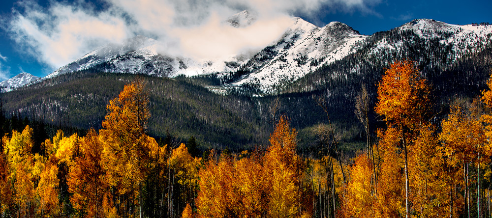 Image of Aspen in Snow Covered Colorado Mountains
