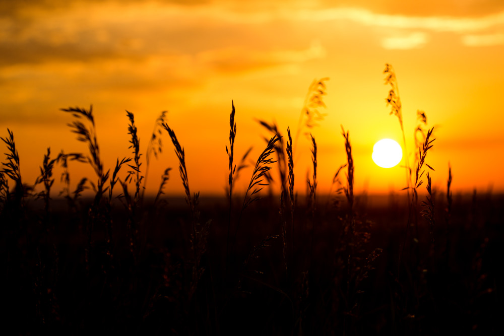 sunrise Photograph on the prairie in Colorado