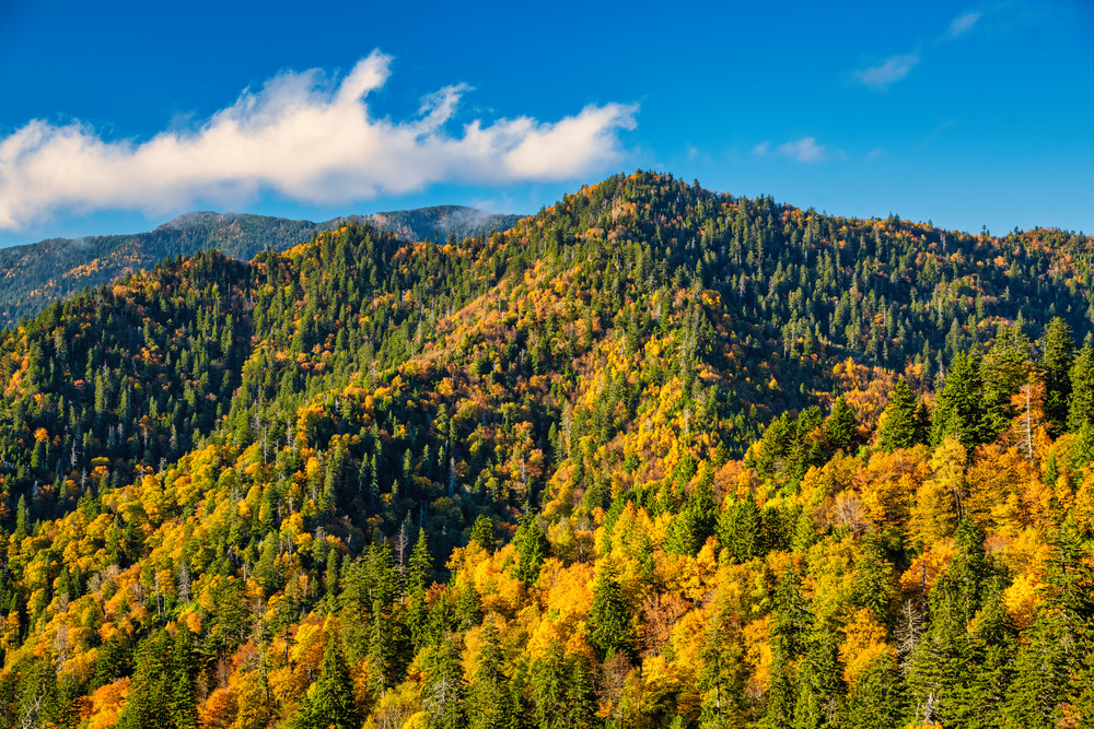 Golden Smokies - Smoky Mountains autumn fine-art photography prints