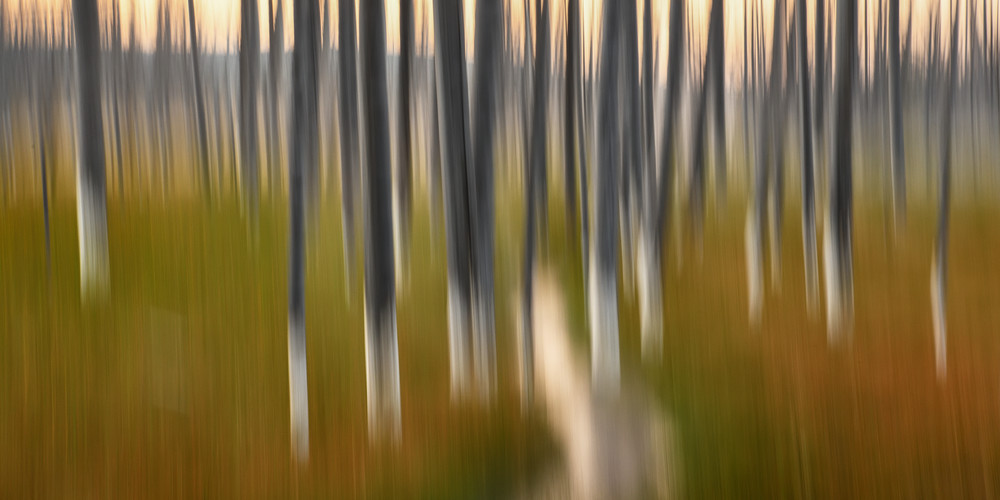 As From A Dream Impressionistic Photographs - Motion Blur - Fine Art Prints on Metal, Canvas, Paper & More By Kevin Odette Photography