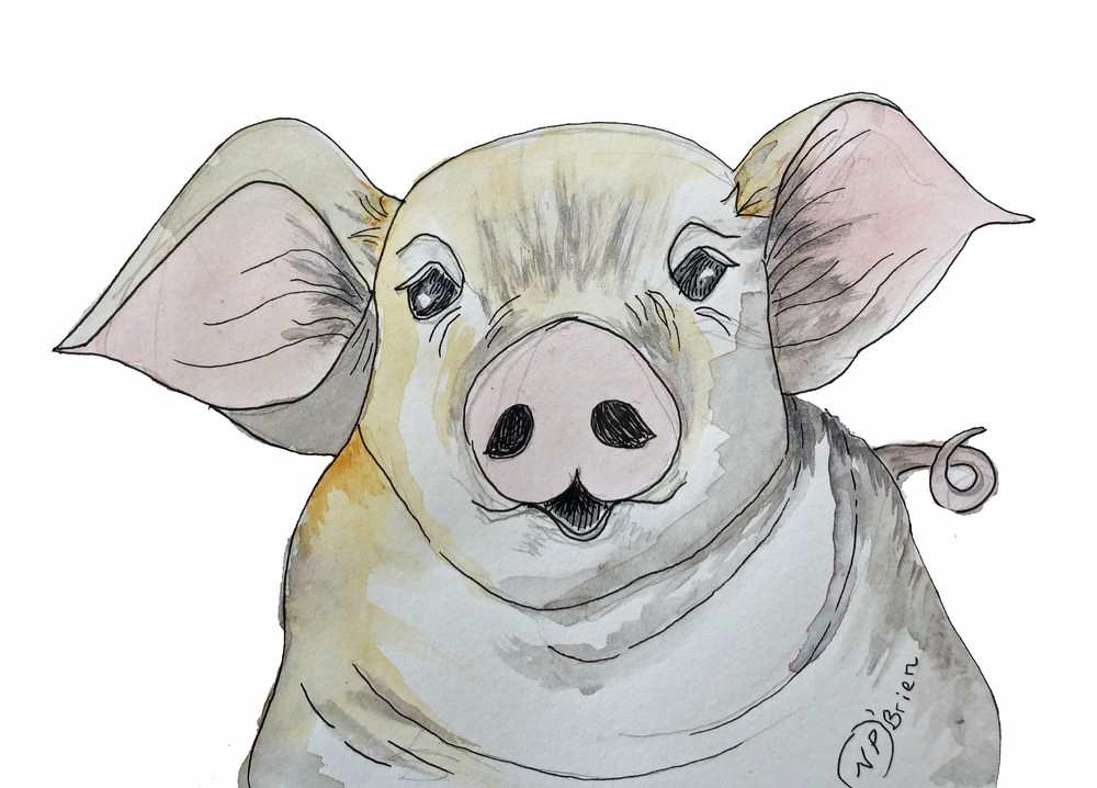 Purty Pig  Art | Color Splash Ranch