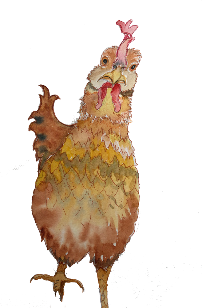 Chicken Art | Color Splash Ranch