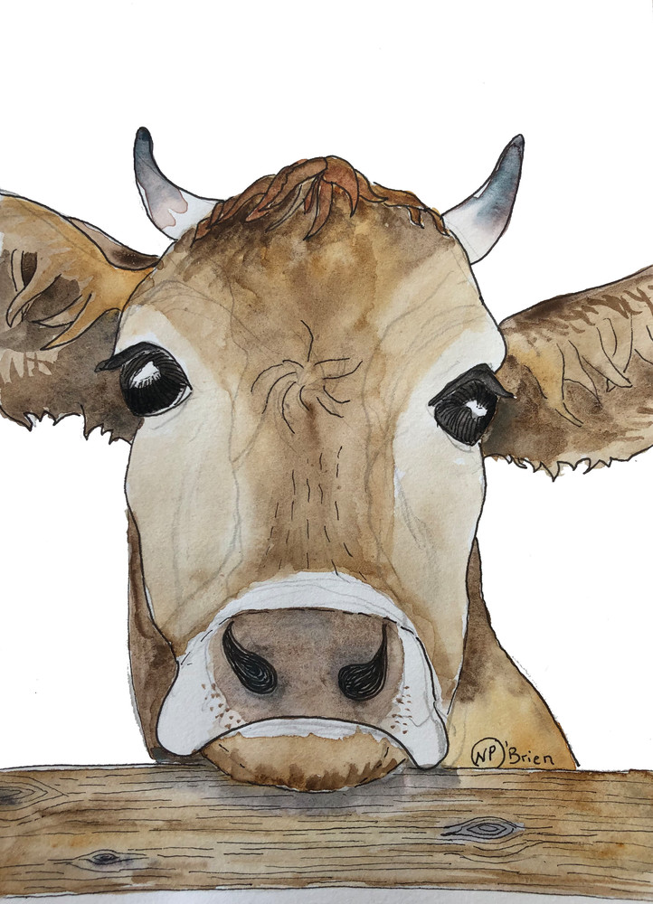 How Now Brown Cow  Art | Color Splash Ranch