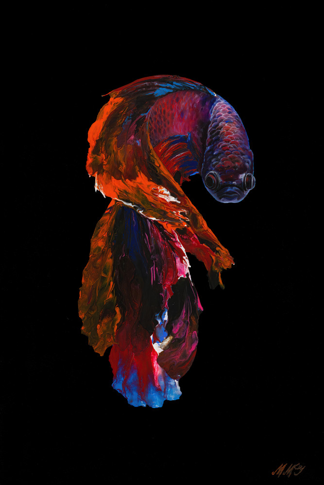 Dragon Betta Fish Art | MMG Art Studio | Fine Art Colorado Gallery Dragon Betta Fish Art | MMG Art Studio | Fine Art Colorado Gallery