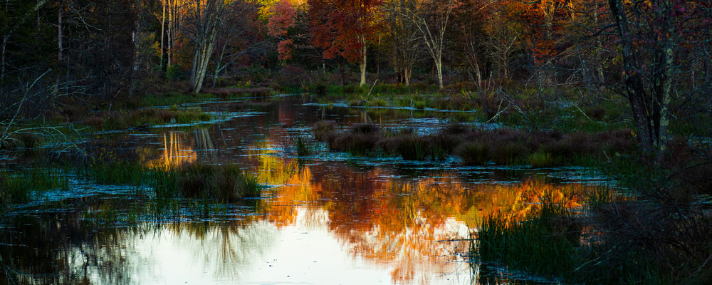 Reflecting Upon Autumn Photography Art | Northern Light