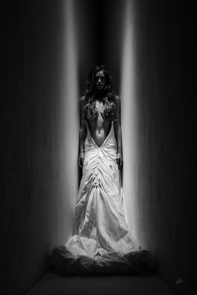 fashion, art, fine-art, bridal, dress, model, Irving-Penn