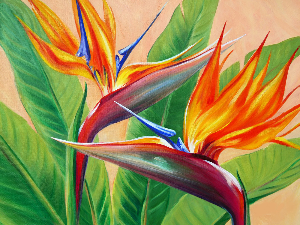 Bird of Paradise, Hawaii, Flower, painting, print