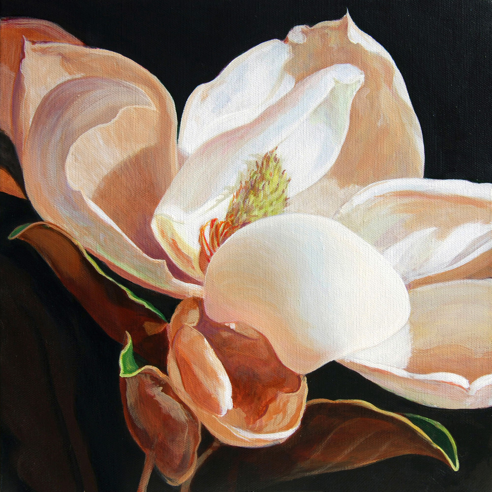 Magnolia Art | Carol Collette 