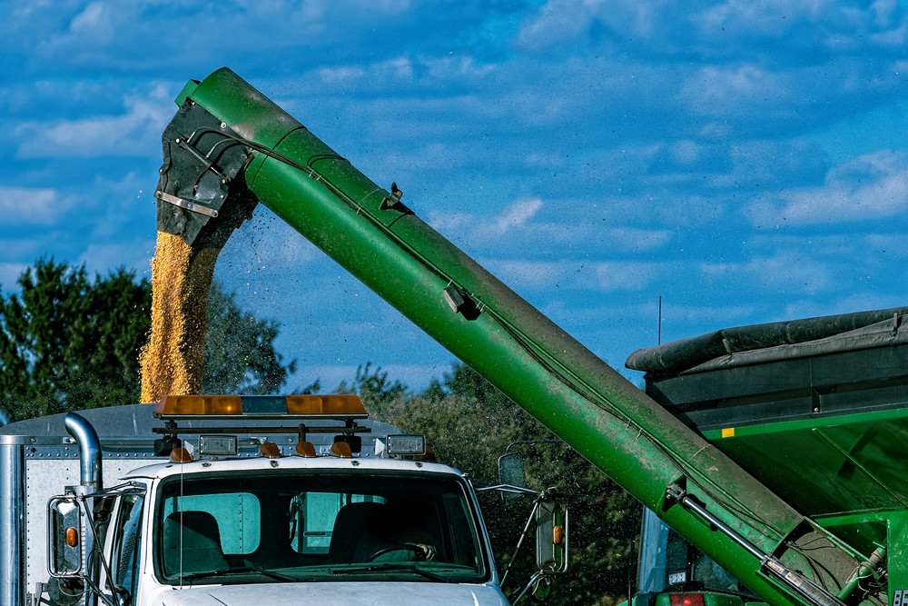 fall-harvest, hopper, corn, fine-art