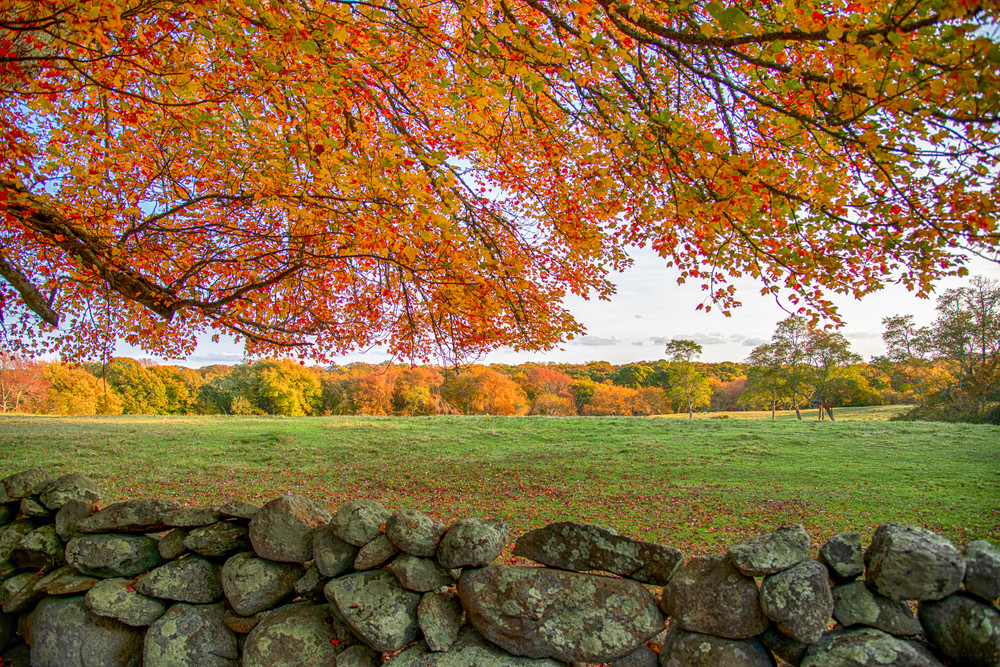 Middle Road Fall Leaves Stone Wall Art | Michael Blanchard Inspirational Photography - Crossroads Gallery