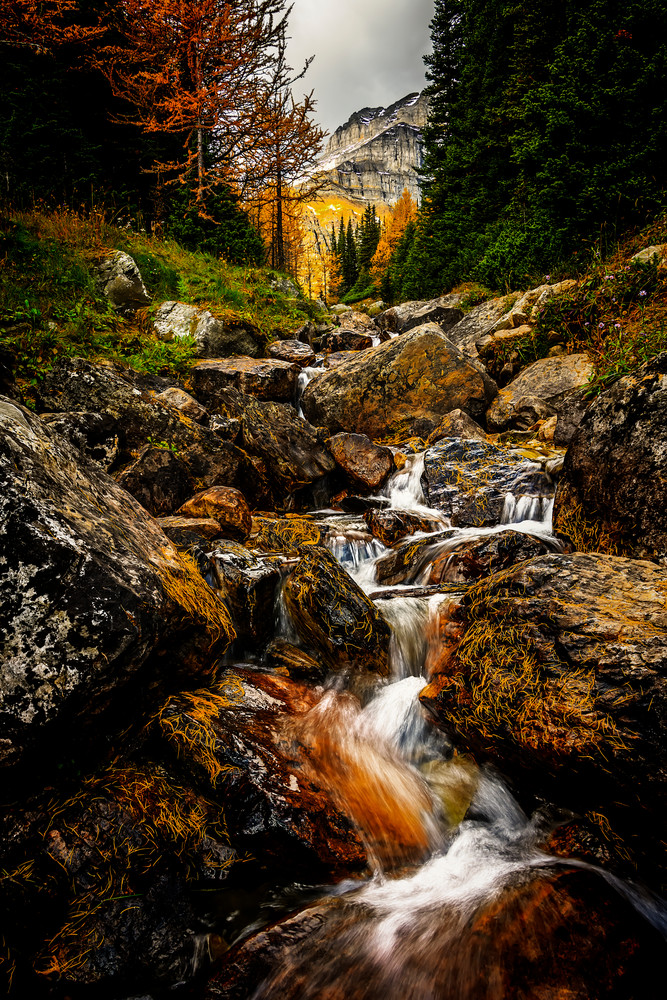 Mountain Streams   Banff National Park, Alberta Photography Art | Byron Fichter Fotography