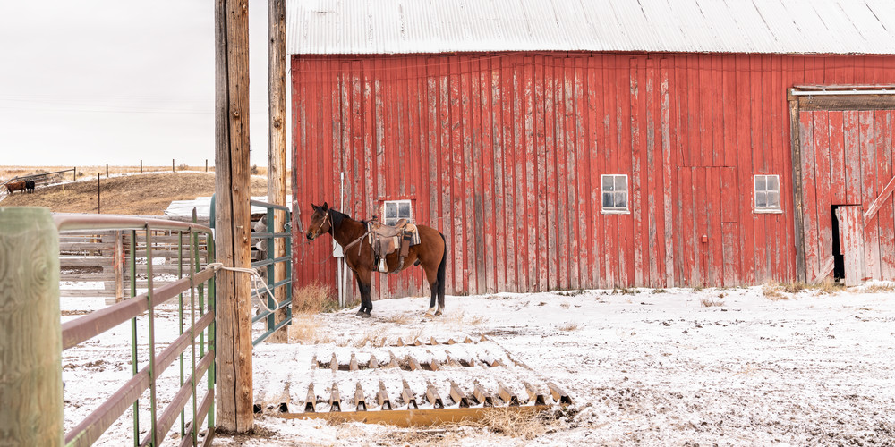 Red Barn And Horse Photography Art | Dave White Photo