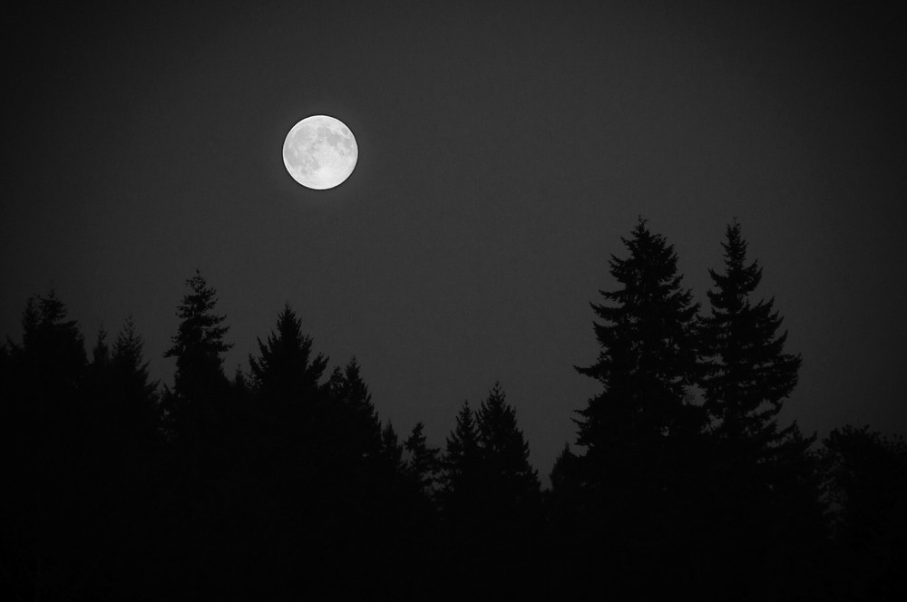 Super Moon Over the Treeline, Washington, 2014