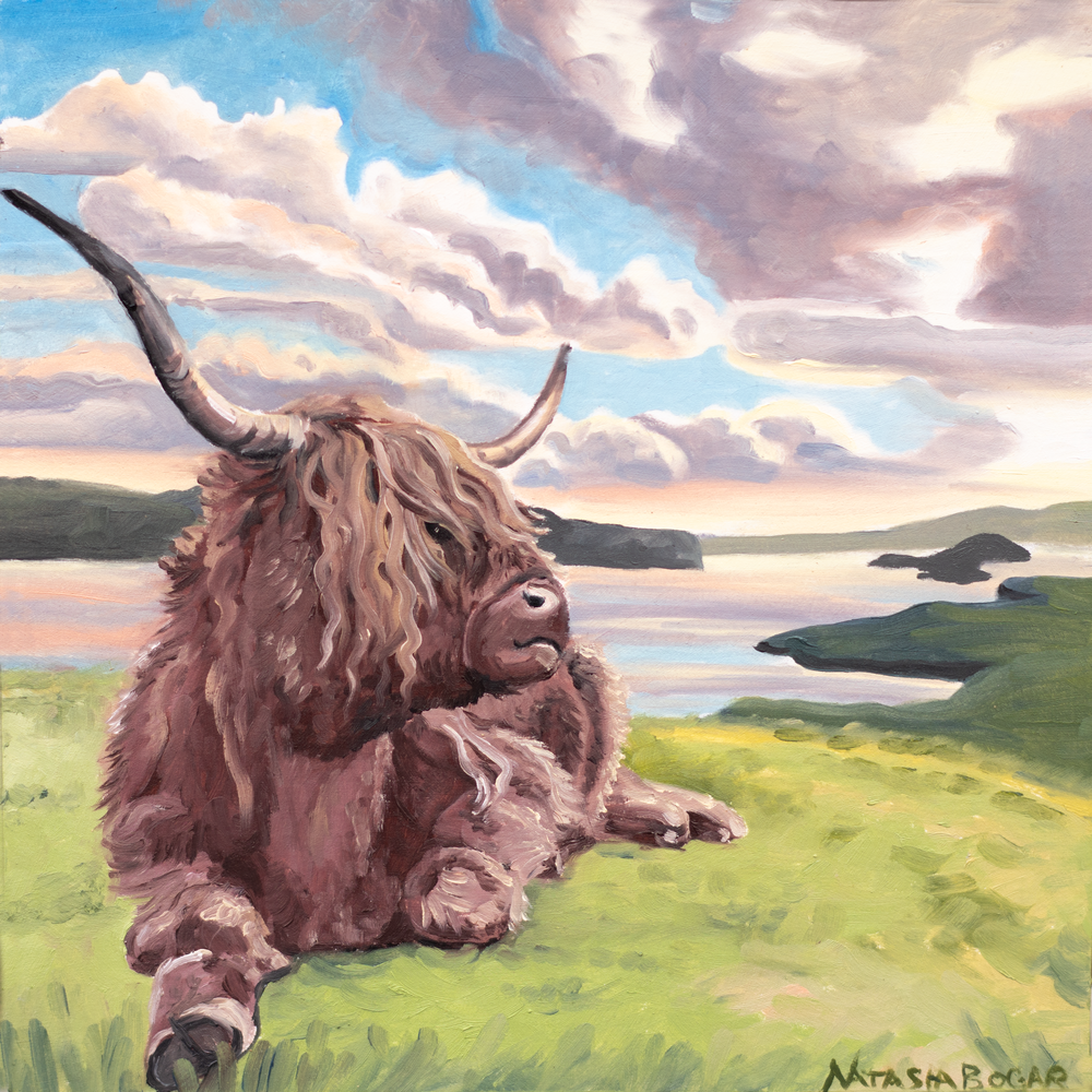 'Highland Cow II' Art for Sale