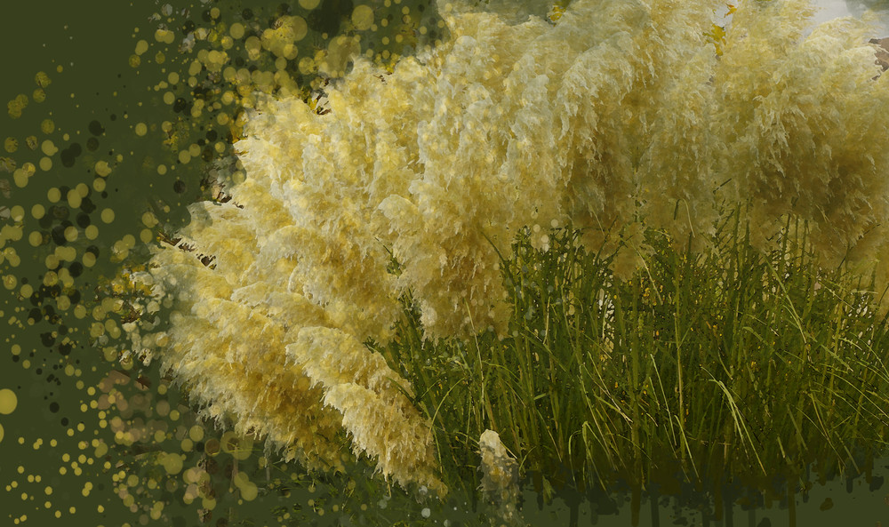 Pampas Grass Art | Art from the Soul