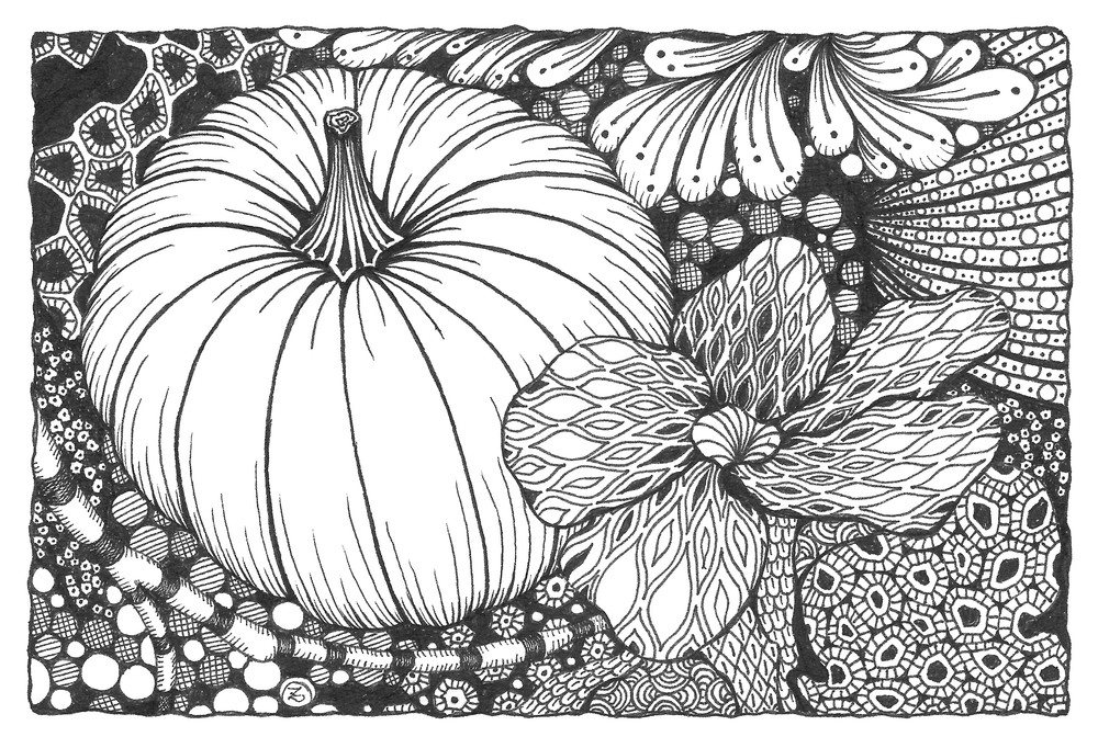Pumpkin Patch Pumpkin Patch