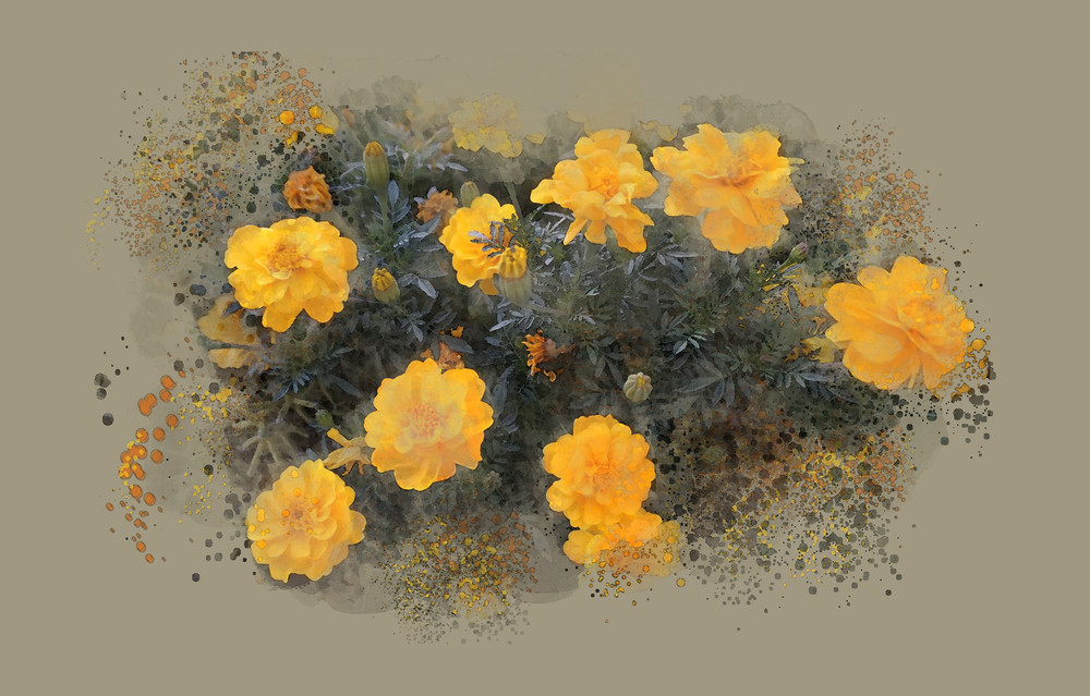 Marigolds Art | Art from the Soul
