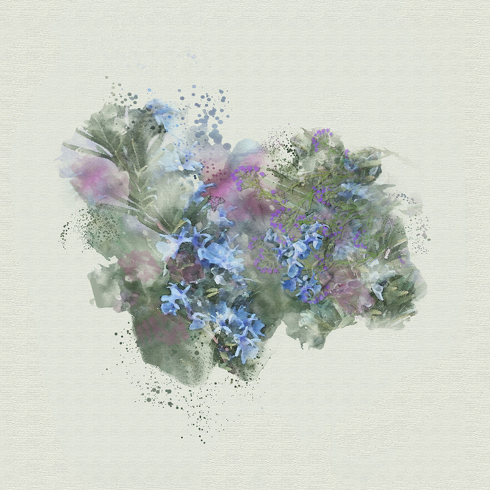 Rosemary Blooms Art | Art from the Soul