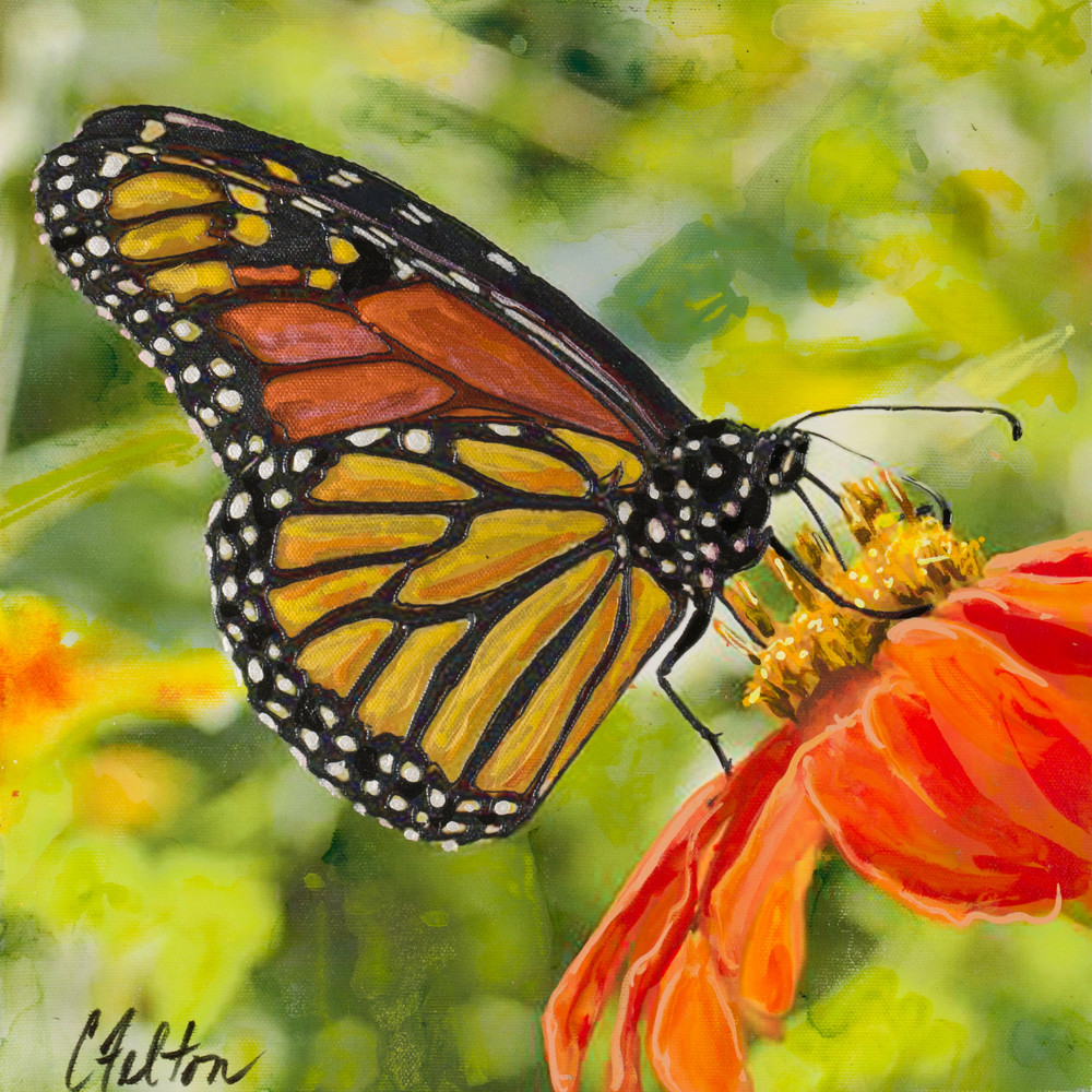 Monarch Art | Channe Felton Fine Art